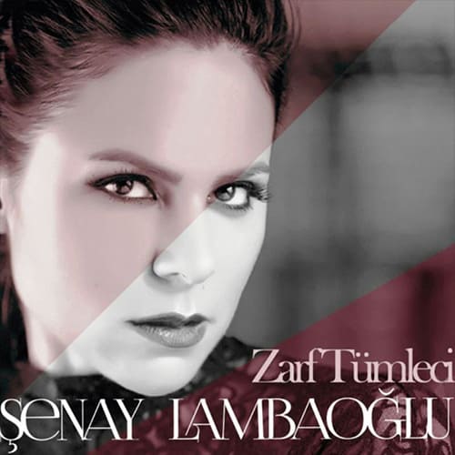 Zarf Tümleci